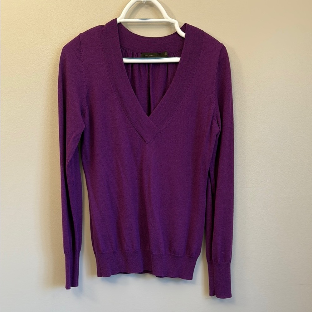 The Limited Purple V-Neck Sweater Soft Knit w/ Matching Cami